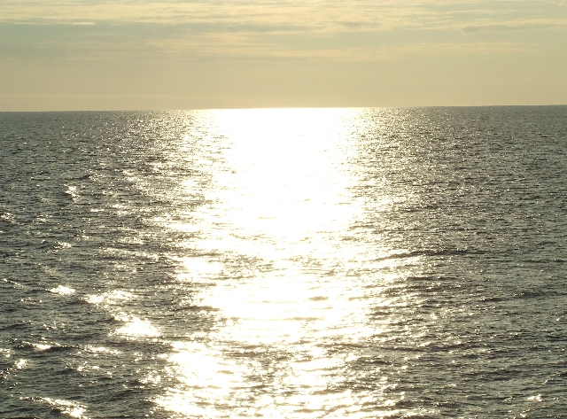 Beautiful SunLights.JPG